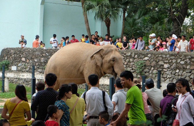 Vườn thú Hà Nội được công nhận là điểm du lịch - Ảnh 1.