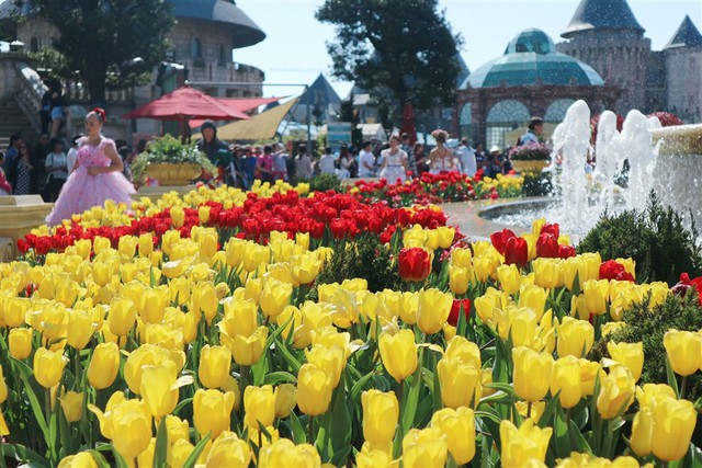 Lễ hội hoa tulip lớn nhất Việt Nam tại Sun World Ba Na Hills - Ảnh 3.