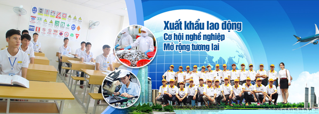 Năm 2019 sẽ đưa 120.000 lao động Việt Nam đi xuất khẩu lao động - Ảnh 1.