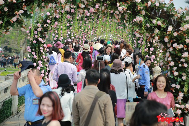 Lễ hội Hoa hồng 2019: Chiêm ngưỡng hơn 500 loài quý hiếm đến từ nhiều quốc gia - Ảnh 1.