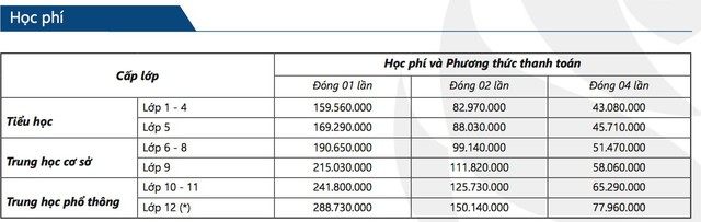 Choáng với học phí hàng trăm triệu mỗi năm của các ngôi trường Quốc tế mà con cái sao Việt theo học - Ảnh 4.