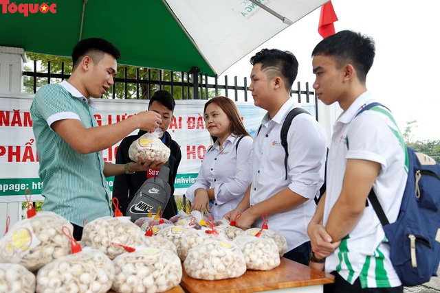 Một trường đại học ở Đà Nẵng mở điểm tiêu thụ hành, tỏi cho bà con nông dân Lý Sơn  - Ảnh 2.