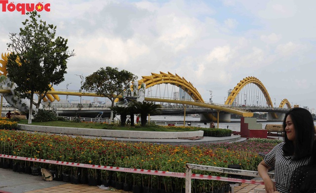 Du khách ngỡ ngàng khi cầu Vàng xuất hiện cạnh cầu Rồng bên bờ sông Hàn - Đà Nẵng - Ảnh 14.