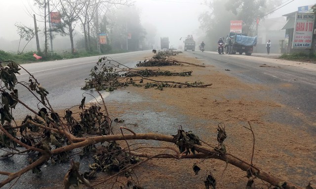 Nghệ An: Dầu ăn đổ ra đường trải dài hơn 10km, ô tô lật nhào - Ảnh 1.