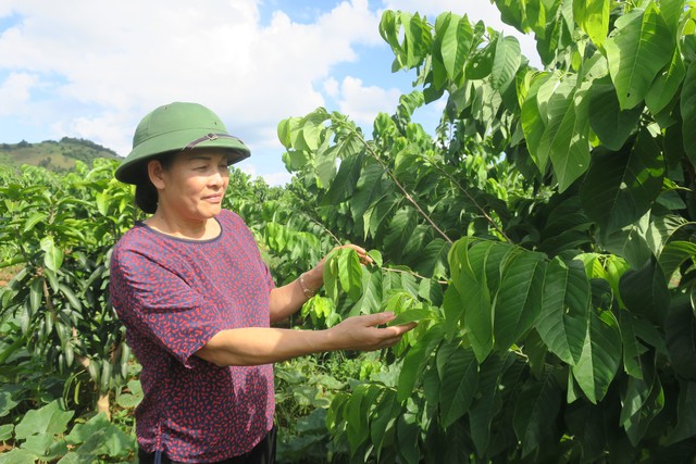 Năm 2019, ngành nông nghiệp Việt Nam phấn đấu xuất khẩu tối thiểu 43 tỷ USD - Ảnh 2.