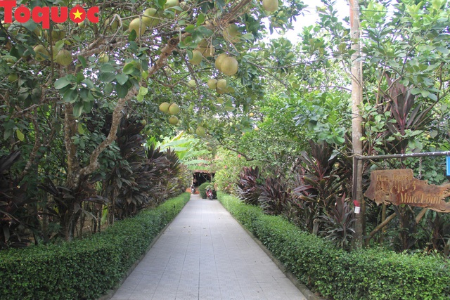 TT - Huế: Công nhận điểm du lịch đối với Nhà vườn Lương Quán - Nguyệt Biều - Ảnh 2.