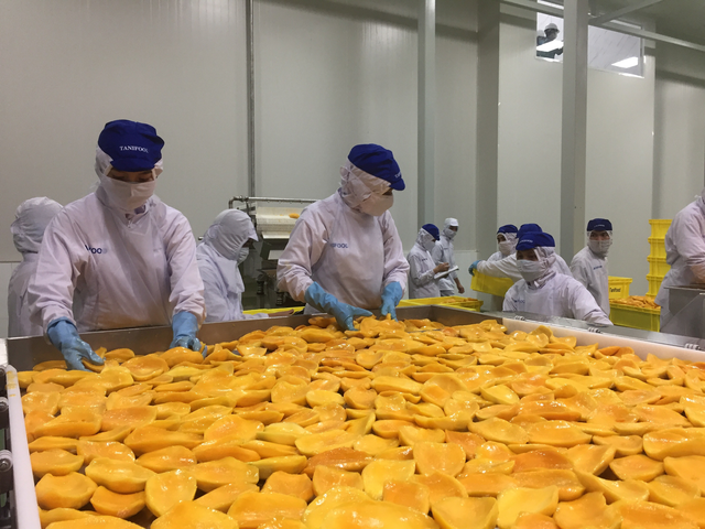 Tây Ninh: Khánh thành nhà máy chế biến nông sản với tổng số vốn gần 1.800 tỷ đồng - Ảnh 3.