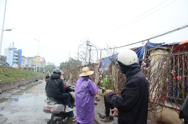 Bất chấp mưa lạnh, người Hà Nội vẫn tìm về chợ hoa Quảng Bá để chơi đào sớm - Ảnh 1.