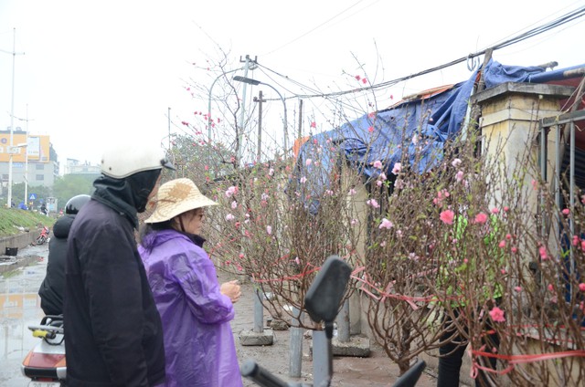 Bất chấp mưa lạnh, người Hà Nội vẫn tìm về chợ hoa Quảng Bá để chơi đào sớm - Ảnh 2.