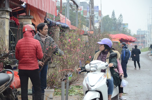 Bất chấp mưa lạnh, người Hà Nội vẫn tìm về chợ hoa Quảng Bá để chơi đào sớm - Ảnh 4.