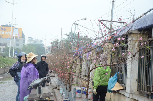 Bất chấp mưa lạnh, người Hà Nội vẫn tìm về chợ hoa Quảng Bá để chơi đào sớm - Ảnh 7.
