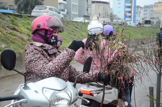 Bất chấp mưa lạnh, người Hà Nội vẫn tìm về chợ hoa Quảng Bá để chơi đào sớm - Ảnh 5.