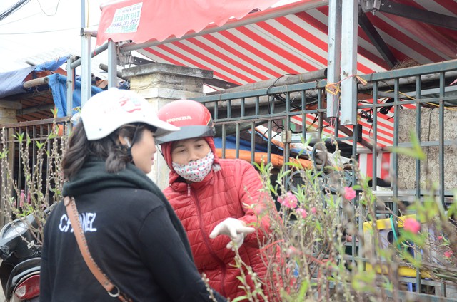 Bất chấp mưa lạnh, người Hà Nội vẫn tìm về chợ hoa Quảng Bá để chơi đào sớm - Ảnh 11.