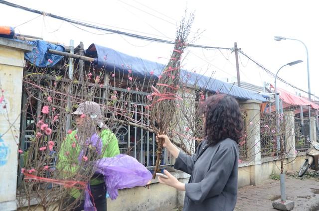 Bất chấp mưa lạnh, người Hà Nội vẫn tìm về chợ hoa Quảng Bá để chơi đào sớm - Ảnh 9.