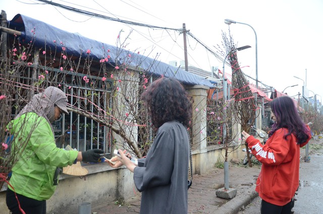Bất chấp mưa lạnh, người Hà Nội vẫn tìm về chợ hoa Quảng Bá để chơi đào sớm - Ảnh 10.
