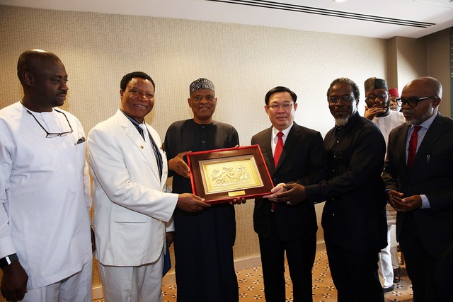 Phó Thủ tướng Vương Đình Huệ tiếp Hiệp hội doanh nghiệp Nigeria - Việt Nam - Ảnh 4.