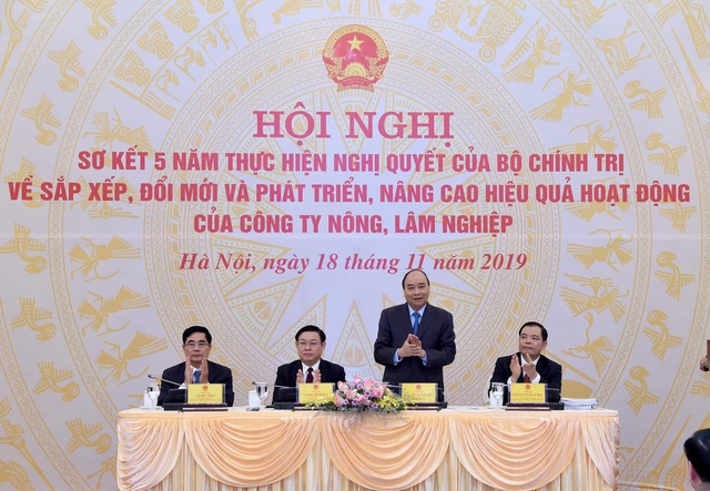  Phó Thủ tướng Vương Đình Huệ: Sắp xếp các công ty nông lâm trường đạt kết quả tích cực - Ảnh 1.