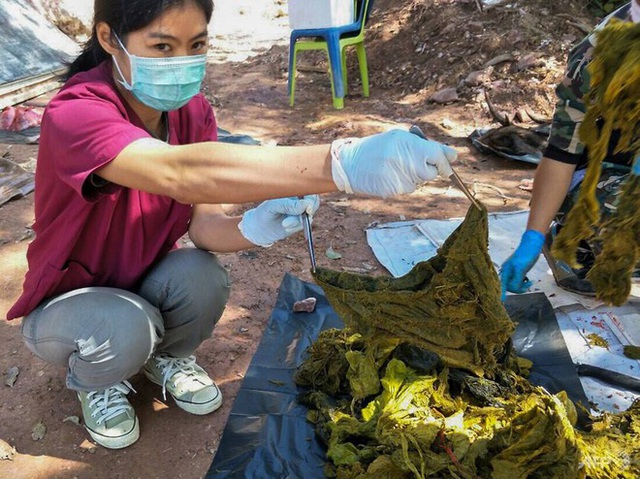 Thái Lan: Du khách đến các công viên quốc gia phải mang theo túi đựng rác - Ảnh 1.