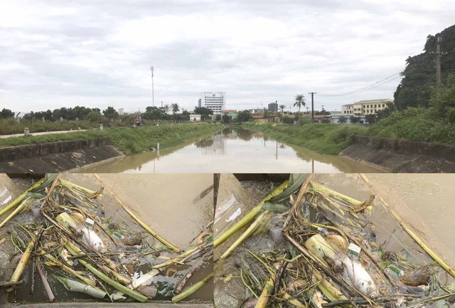 Kinh hoàng kênh dẫn nước sinh hoạt cấp cho người dân Thanh Hóa bị ô nhiễm nghiêm trọng - Ảnh 7.