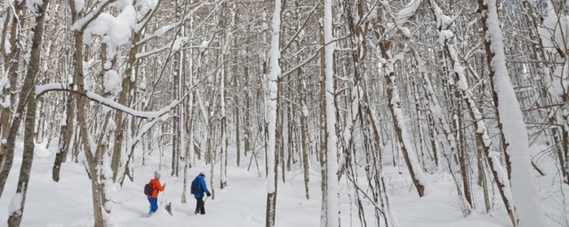 Du lịch Nhật Bản mùa đông: đừng bỏ qua “thiên đường” trượt tuyết Fukushima - Ảnh 1.