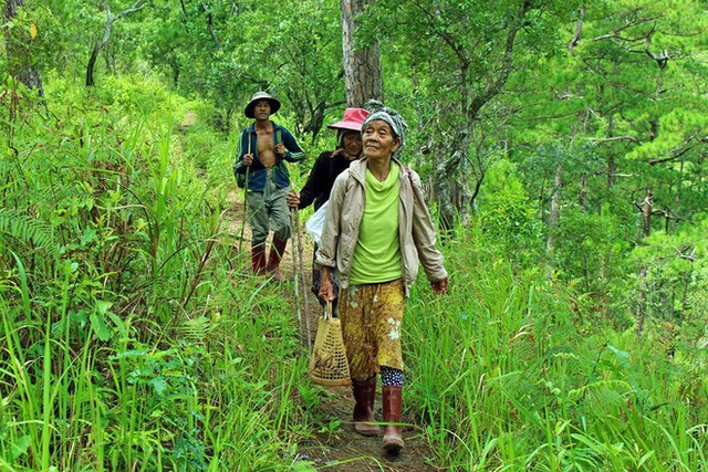 Vinh danh bốn Vườn Di sản ASEAN của Việt Nam - Ảnh 1.
