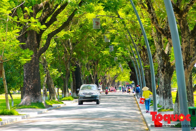 Cuộc sống trong lành ở thành phố xanh đầu tiên của Việt Nam - Ảnh 5.