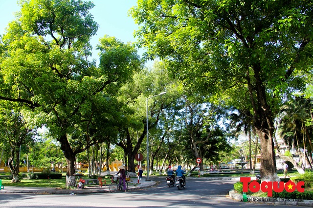 Cuộc sống trong lành ở thành phố xanh đầu tiên của Việt Nam - Ảnh 6.