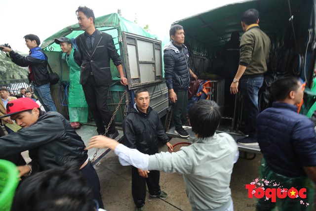 Hà Nội: Hàng vạn người chuyền tay phóng sinh gần 12 tấn cá cầu quốc thái dân an - Ảnh 4.