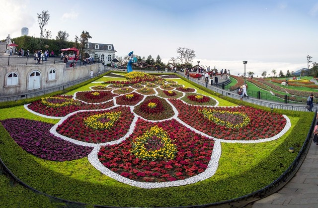 Lễ hội hoa tulip tại Bà Nà được trao kỷ lục Guinness Việt Nam  - Ảnh 2.