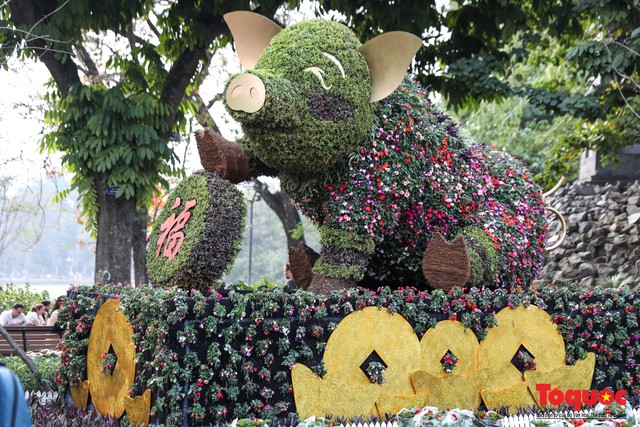 Hà Nội làm heo khổng lồ bằng cây xanh đón Tết Kỷ Hợi 2019 - Ảnh 8.
