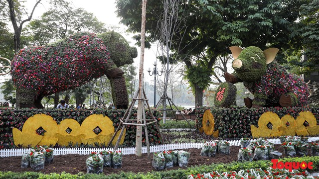 Hà Nội làm heo khổng lồ bằng cây xanh đón Tết Kỷ Hợi 2019 - Ảnh 9.