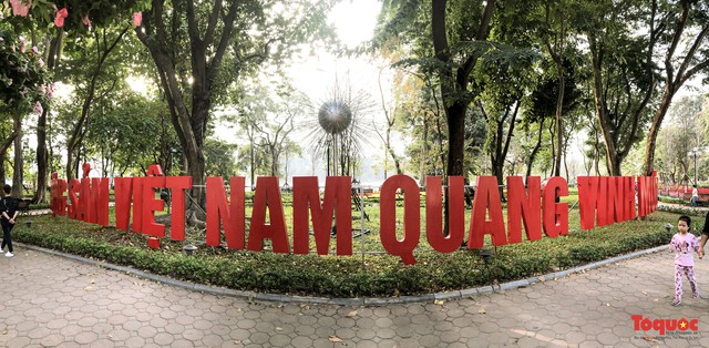 Hà Nội làm heo khổng lồ bằng cây xanh đón Tết Kỷ Hợi 2019 - Ảnh 4.