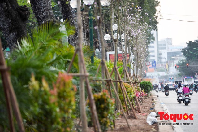 Đường phố Hà Nội được chỉnh trang trước hội nghị thượng đỉnh Mỹ - Triều  - Ảnh 1.