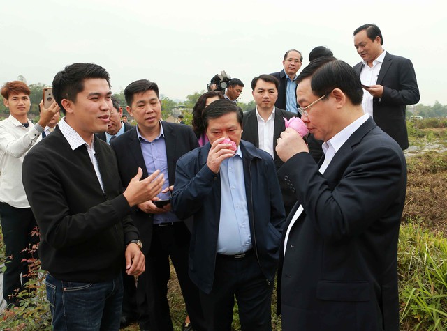Phó Thủ tướng Vương Đình Huệ thăm khu Di tích Pác Pó  - Ảnh 4.
