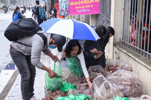 Người dân Thủ đô đội mưa “giải cứu” hàng trăm tấn khoai lang cho nông dân Gia Lai - Ảnh 3.