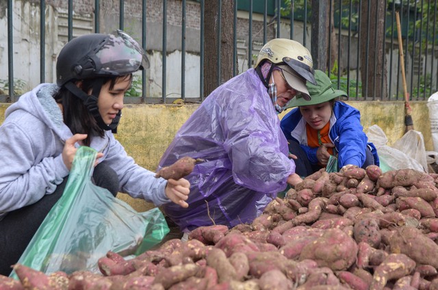 Người dân Thủ đô đội mưa “giải cứu” hàng trăm tấn khoai lang cho nông dân Gia Lai - Ảnh 4.
