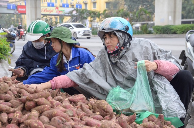Người dân Thủ đô đội mưa “giải cứu” hàng trăm tấn khoai lang cho nông dân Gia Lai - Ảnh 5.