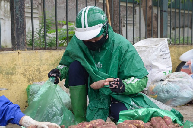 Người dân Thủ đô đội mưa “giải cứu” hàng trăm tấn khoai lang cho nông dân Gia Lai - Ảnh 7.