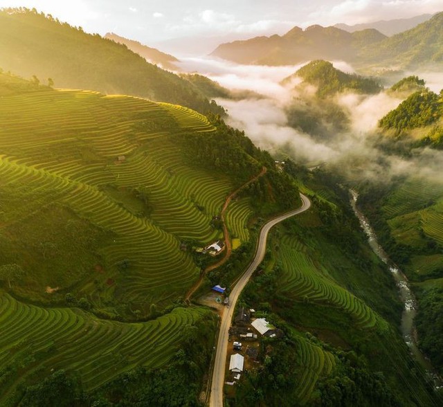 Tác phẩm của nhiếp ảnh gia Việt Nam được vinh danh trên National Geographic - Ảnh 1.