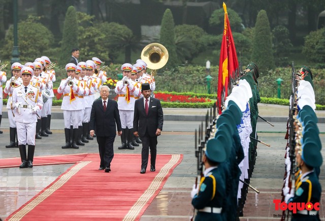 Tổng Bí thư, Chủ tịch nước Nguyễn Phú Trọng chủ trì Lễ đón chính thức Quốc vương Brunei thăm cấp Nhà nước tới Việt Nam - Ảnh 8.
