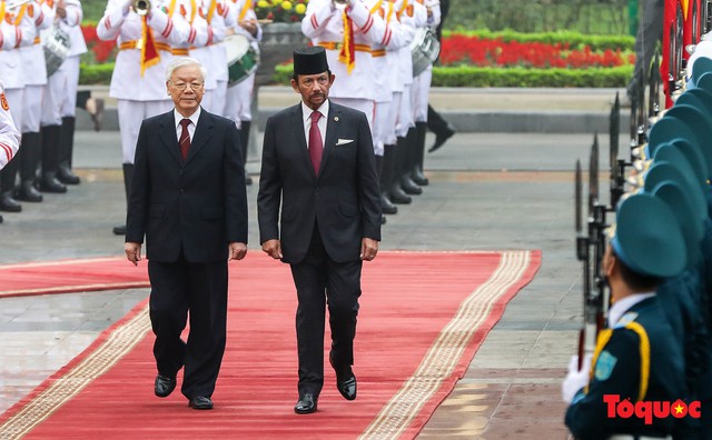 Tổng Bí thư, Chủ tịch nước Nguyễn Phú Trọng chủ trì Lễ đón chính thức Quốc vương Brunei thăm cấp Nhà nước tới Việt Nam - Ảnh 9.