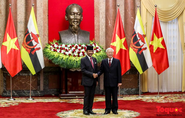 Tổng Bí thư, Chủ tịch nước Nguyễn Phú Trọng chủ trì Lễ đón chính thức Quốc vương Brunei thăm cấp Nhà nước tới Việt Nam - Ảnh 11.