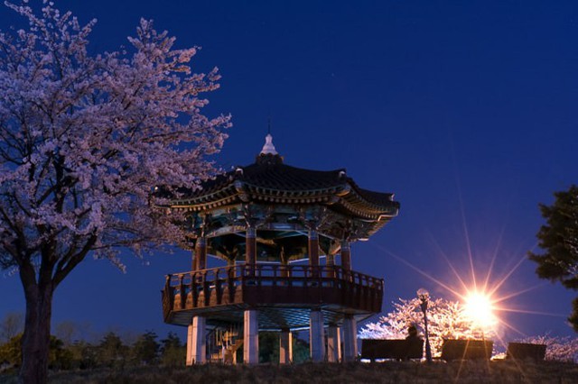 Những điểm đến đầy thu hút trong tiết trời xuân tại Hàn Quốc - Ảnh 6.
