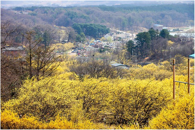 Những điểm đến đầy thu hút trong tiết trời xuân tại Hàn Quốc - Ảnh 7.