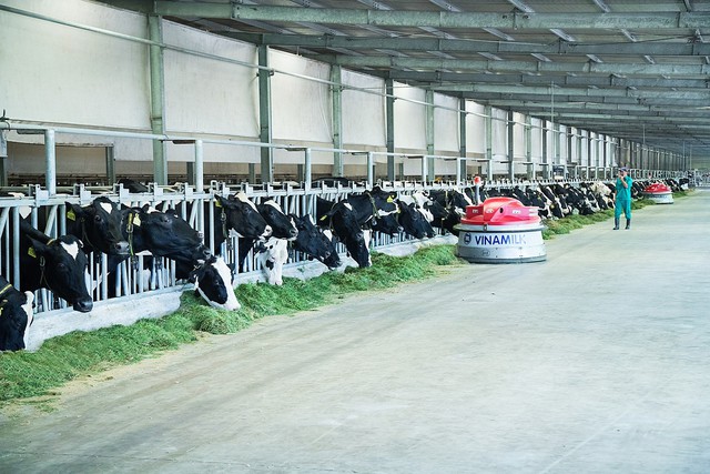  Công ty bò sữa Việt Nam thuộc Vinamilk lọt top tăng trưởng nhanh nhất Việt Nam  - Ảnh 3.