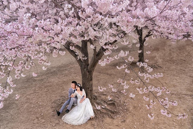 Ốc Thanh Vân khoe ảnh cưới chụp tại Hàn Quốc, vô tình để lộ hình xăm gợi cảm - Ảnh 3.