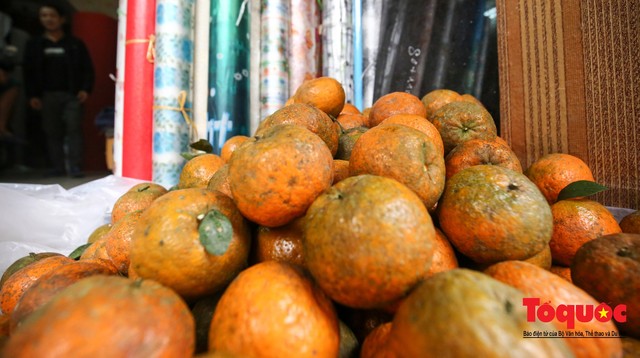 Bỏ bán cam chuyển sang bán nước cam nguyên chất, tiểu thương thu gần 100 triệu mỗi tháng - Ảnh 2.