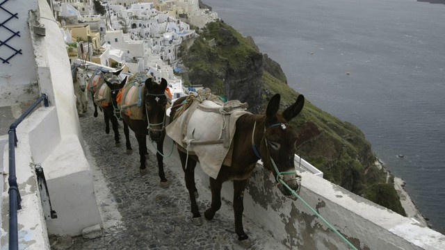 Thiên đường Santorini: Du khách nghĩ kĩ về loại phương tiện phổ biến nhất - Ảnh 1.