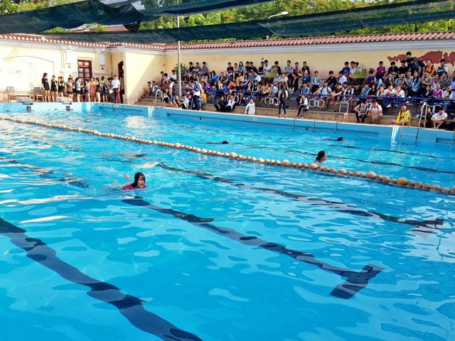 Thừa Thiên Huế: Phát động toàn dân tập luyện môn bơi và tổ chức Giải bơi học sinh phổ thông năm 2019 - Ảnh 1.