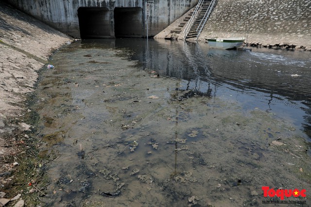 Sông Tô Lịch đã bớt nặng mùi sau ba ngày dùng công nghệ nano của Nhật Bản - Ảnh 7.